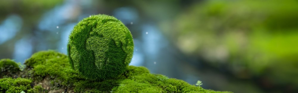 Karbon Fiyatlarında Volatilite Analizi: 2026 İlk Çeyrek Projeksiyonu